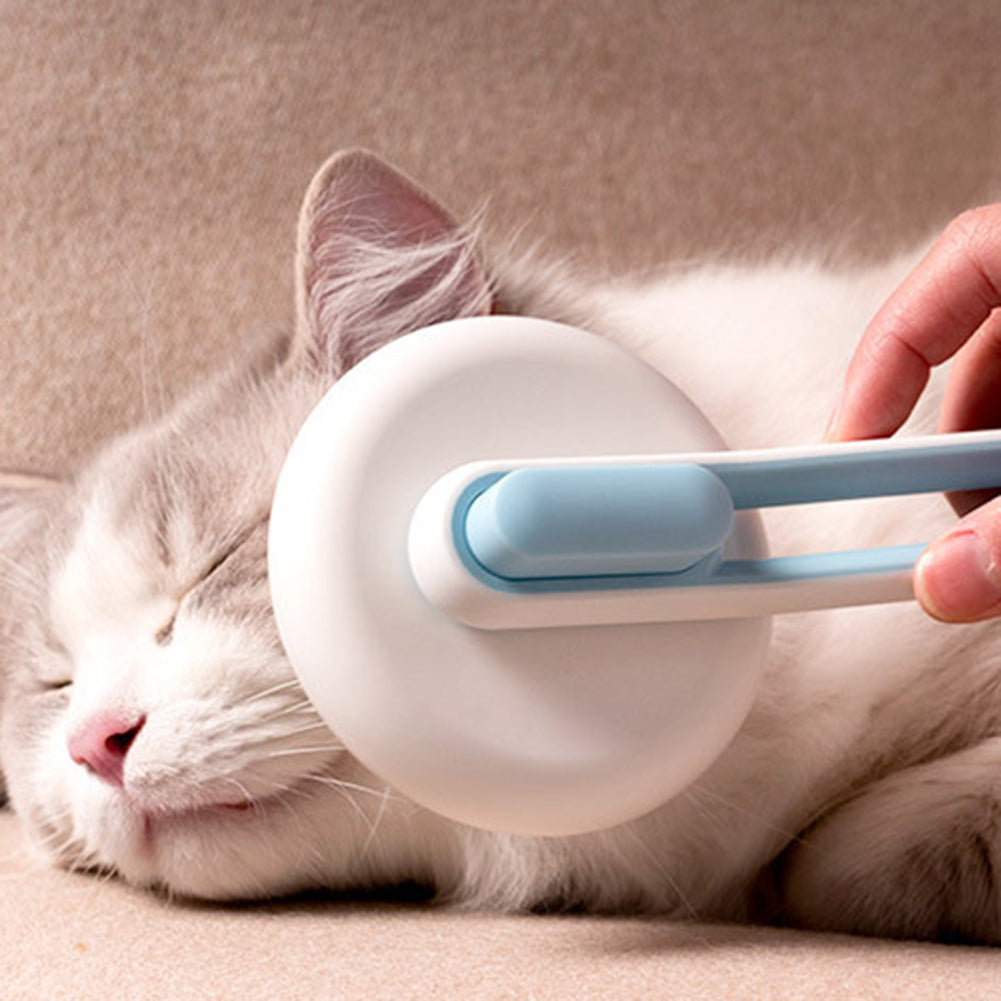 Pet Dog Hair Remover Brush